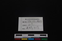 山羌骨藏品圖，第3張