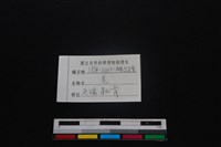 山羌骨藏品圖，第3張