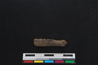 山羌骨藏品圖，第1張