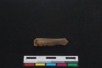 山羌骨藏品圖，第2張