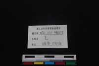 山羌骨藏品圖，第3張