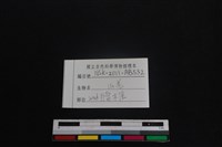 山羌骨藏品圖，第4張