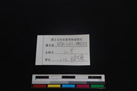 山羌骨藏品圖，第3張