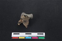 山羌骨藏品圖，第1張