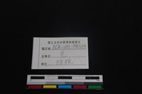 山羌骨藏品圖，第3張