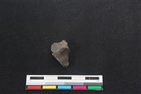 山羌骨藏品圖，第1張