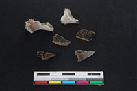 山羌骨藏品圖，第1張