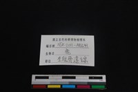 梅花鹿骨藏品圖，第3張