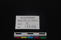 梅花鹿骨藏品圖，第3張