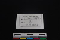 梅花鹿骨藏品圖，第3張