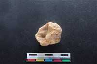 梅花鹿骨藏品圖，第1張