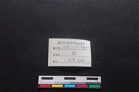 梅花鹿骨藏品圖，第3張