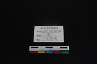 梅花鹿骨藏品圖，第3張