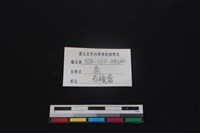 梅花鹿骨藏品圖，第3張