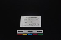 梅花鹿骨藏品圖，第3張