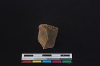 梅花鹿骨藏品圖，第1張