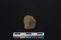 梅花鹿骨藏品圖，第2張