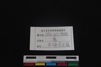 梅花鹿骨藏品圖，第3張