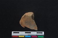 梅花鹿骨藏品圖，第2張