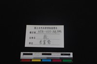 梅花鹿骨藏品圖，第3張