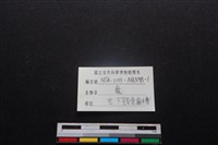 梅花鹿骨藏品圖，第3張