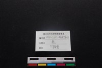 梅花鹿骨藏品圖，第3張