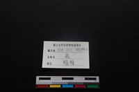梅花鹿骨藏品圖，第3張