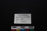 梅花鹿骨藏品圖，第3張