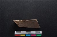 梅花鹿骨藏品圖，第2張