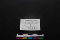 梅花鹿骨藏品圖，第3張