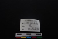 梅花鹿骨藏品圖，第3張