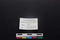 梅花鹿骨藏品圖，第3張