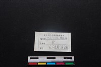 梅花鹿骨藏品圖，第3張