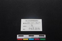 梅花鹿骨藏品圖，第3張