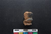 梅花鹿骨藏品圖，第2張