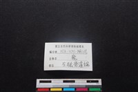 梅花鹿骨藏品圖，第3張