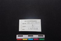 梅花鹿骨藏品圖，第3張