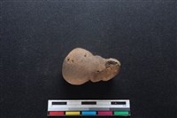 梅花鹿骨藏品圖，第1張