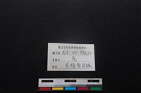 梅花鹿骨藏品圖，第3張