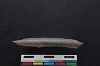 梅花鹿骨藏品圖，第2張