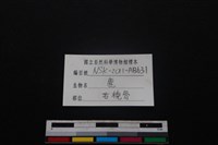 梅花鹿骨藏品圖，第3張