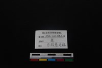 梅花鹿骨藏品圖，第3張