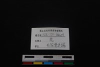 梅花鹿骨藏品圖，第3張