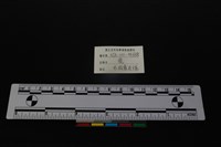 梅花鹿骨藏品圖，第3張