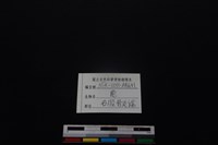 梅花鹿骨藏品圖，第3張