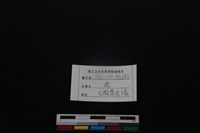 梅花鹿骨藏品圖，第3張