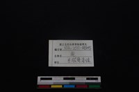梅花鹿骨藏品圖，第3張