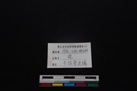 梅花鹿骨藏品圖，第3張