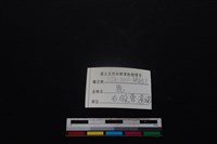 梅花鹿骨藏品圖，第3張