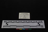 梅花鹿骨藏品圖，第3張